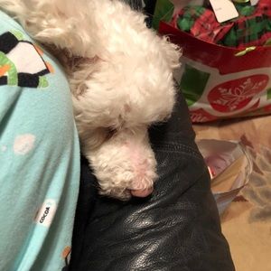 Meet your Posher, Stefani